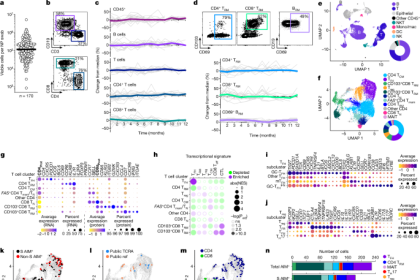 Unlocking the Secrets of Immunological Memory: Exploring Diversity in the Human Upper Airway