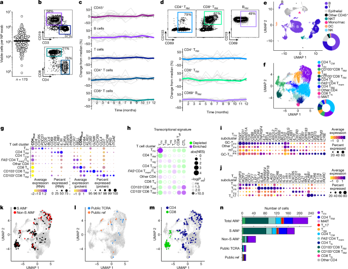 Unlocking the Secrets of Immunological Memory: Exploring Diversity in the Human Upper Airway