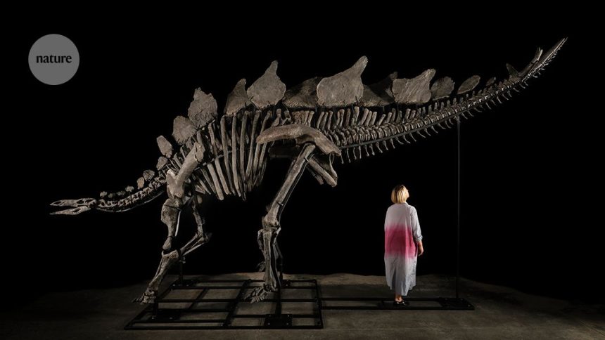 Discover the Priciest Dinosaur and Other Stunning Science Images of July!