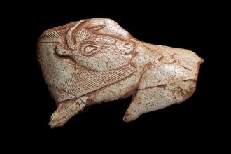 Ancient Marvel: 14,000-Year-Old Lifelike Bison Figure Carved from Weapon Captures Insect Bite in Stunning Detail!