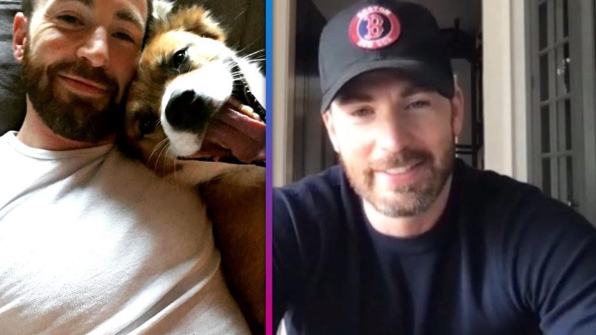 Chris Evans Reveals How His Adorable Dog Keeps Him Fit (And When He Indulges in Junk Food!)