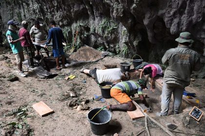 Unveiling the Past: Ancient Plant Artefact Chronicles Humanity’s Epic Journey to Australia!