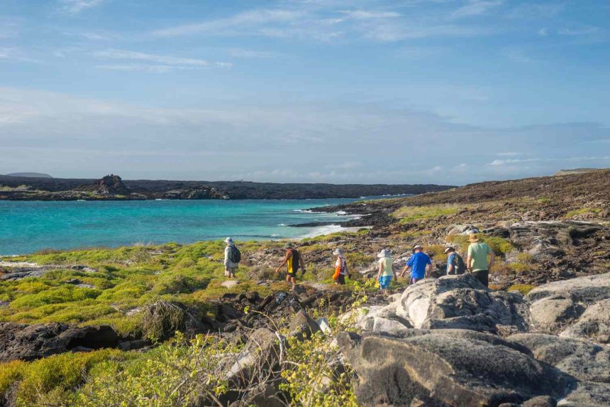 Experience the Magic of the Galápagos Islands: Essential Tips for Your Group Tour Adventure!