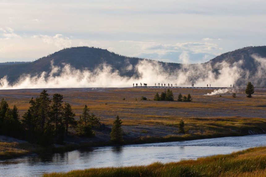 Unlock the Secrets: 6 Common Mistakes to Avoid in Yellowstone National Park from a Local Insider