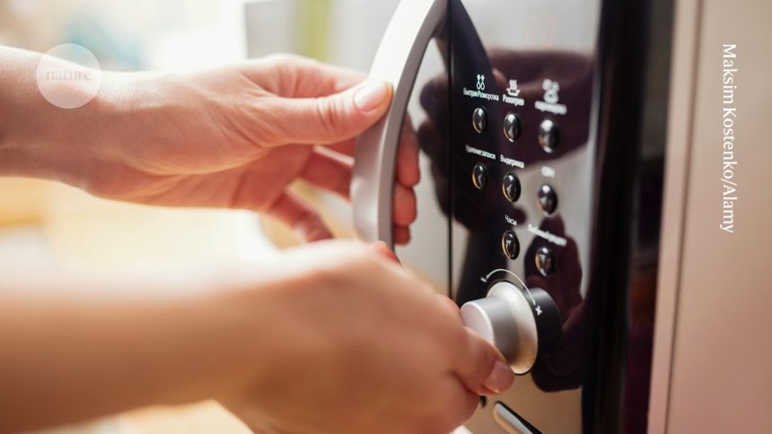 Uncover the Hidden World: Your Microwave Oven’s Secret Microbiome!