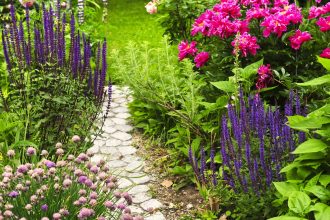 Unlock the Secrets of Your Garden: Discovering Your Gardening Zone!