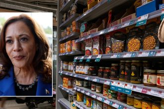 Grocer Turned House Lawmaker Slams Kamala Harris’ Price Control Plan: A ‘Nail in the Coffin’ for Consumers?