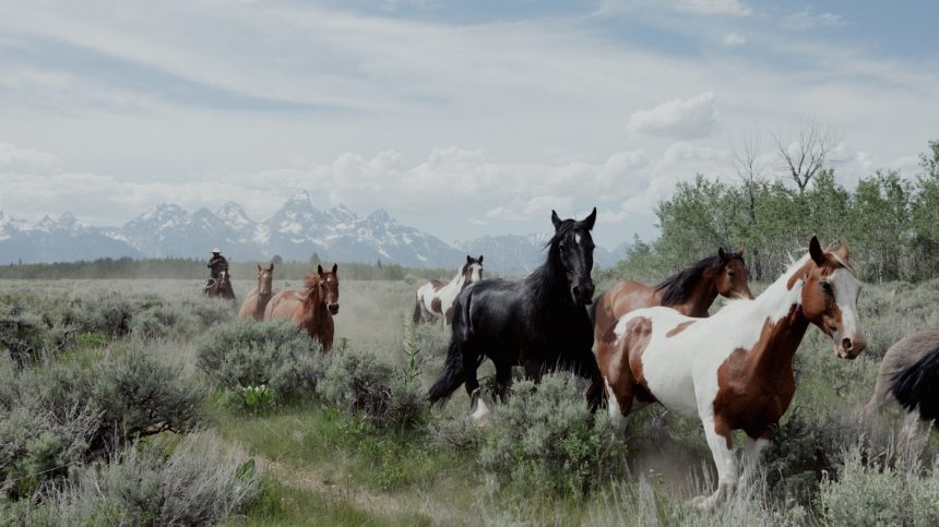 Wyoming’s Land Dilemma: Will Grand Teton Park Secure a Key Parcel, or Will Developers Take Over?