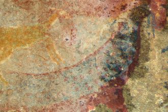 Ancient Cave Art: Did Extinct Animal Fossils Spark Creative Inspiration?