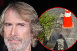 Michael Bay’s Home Struck in Shocking Hit-and-Run Incident, Authorities Report