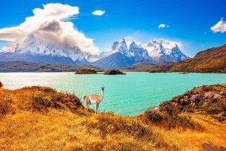 Unlock the Secrets of Patagonia: 10 Crucial Mistakes to Avoid for an Unforgettable Adventure!