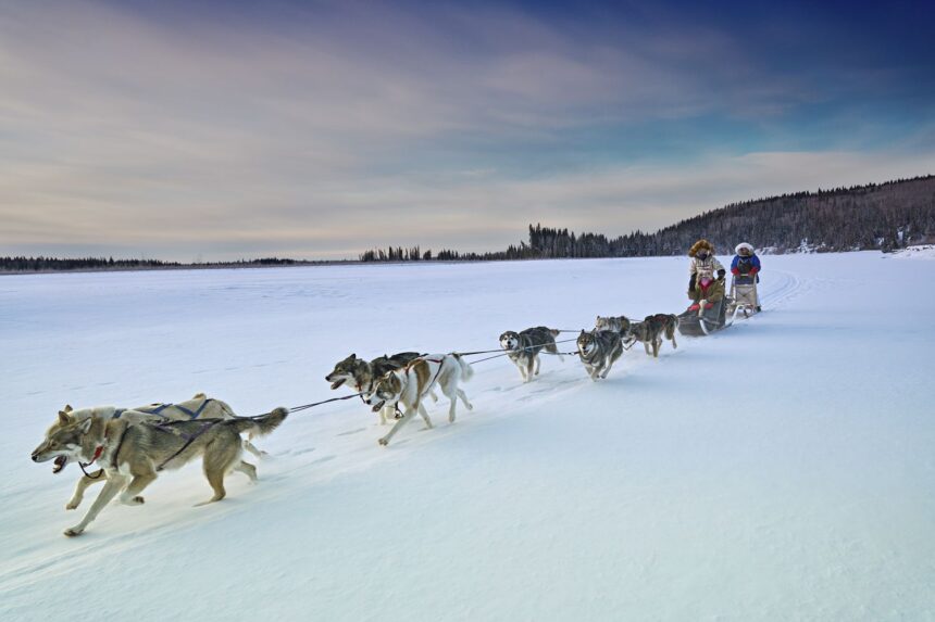 Unplugged in the Wild: Our Epic Off-Grid Winter Adventure in Alaska with My 11-Year-Old Son!