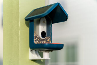 Don’t Miss Out: Bird Buddy Smart Bird Feeder Camera Hits Record Low Price for Prime Day!