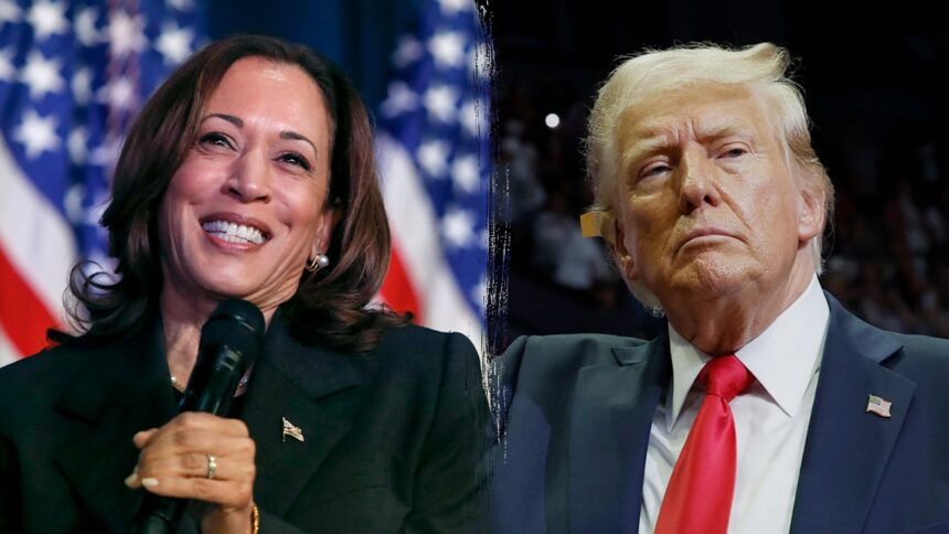 Harris Maintains Slim National Lead as Trump Gains Ground on Economic Confidence: New Poll Reveals