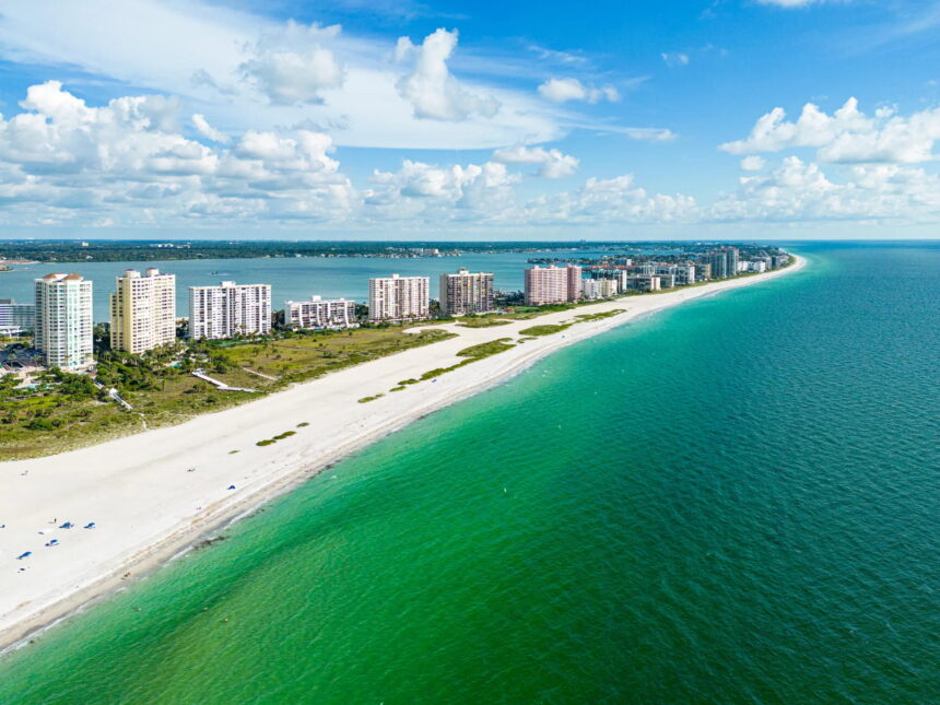 Can Oyster Walls Be Nature’s Shield Against Hurricanes? DARPA Seeks Answers!